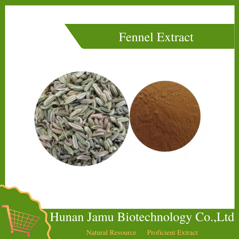  Fennel Extract