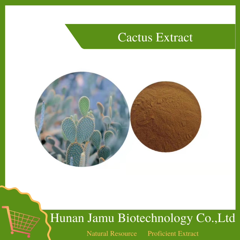 Cactus Extract 