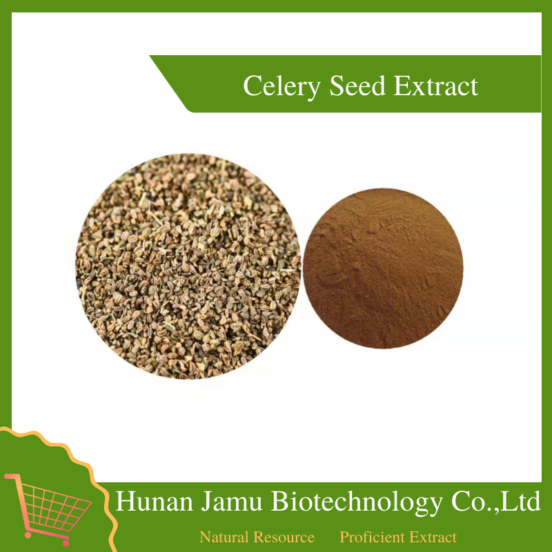 Celery Extract