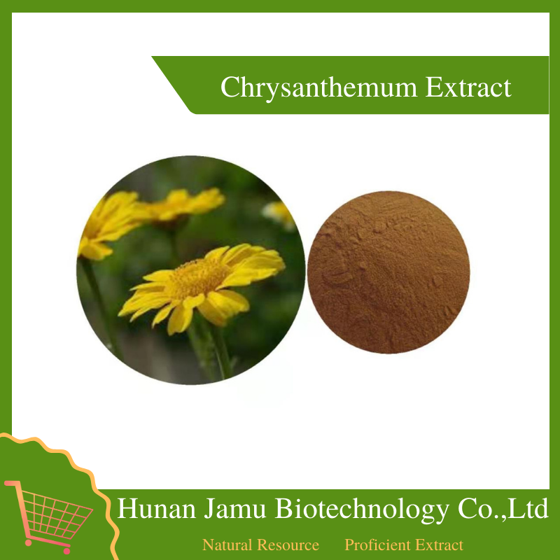 Chrysanthemum Extract