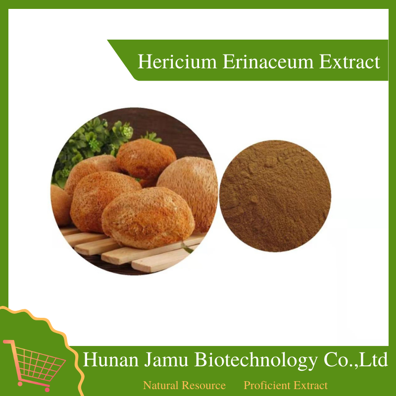 Hericium Erinaceum Extract