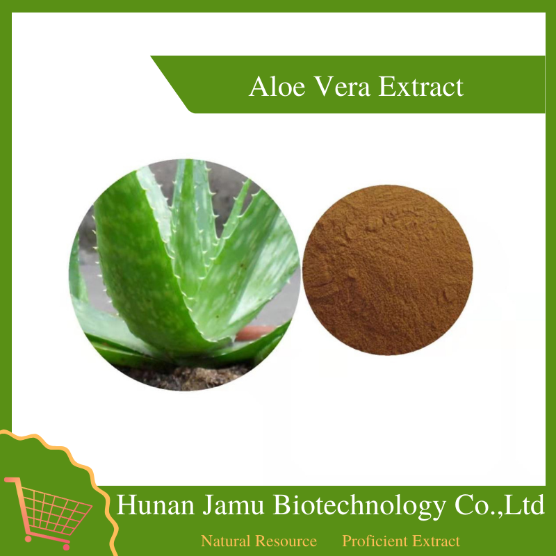 Aloe Vera Extract