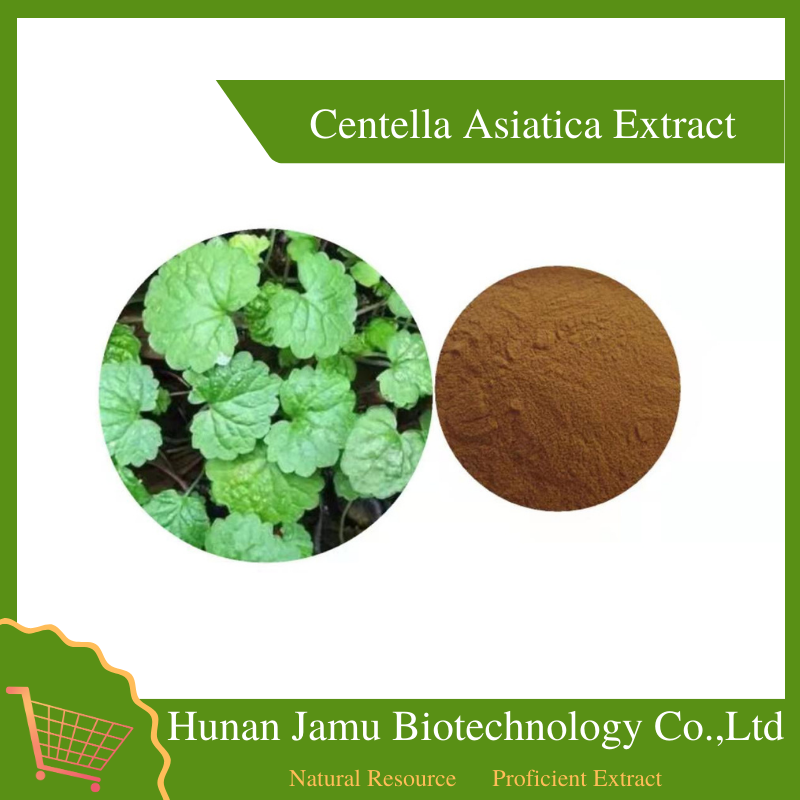 Centella asiatica Extract