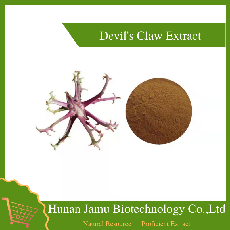 Devil's Claw Extract