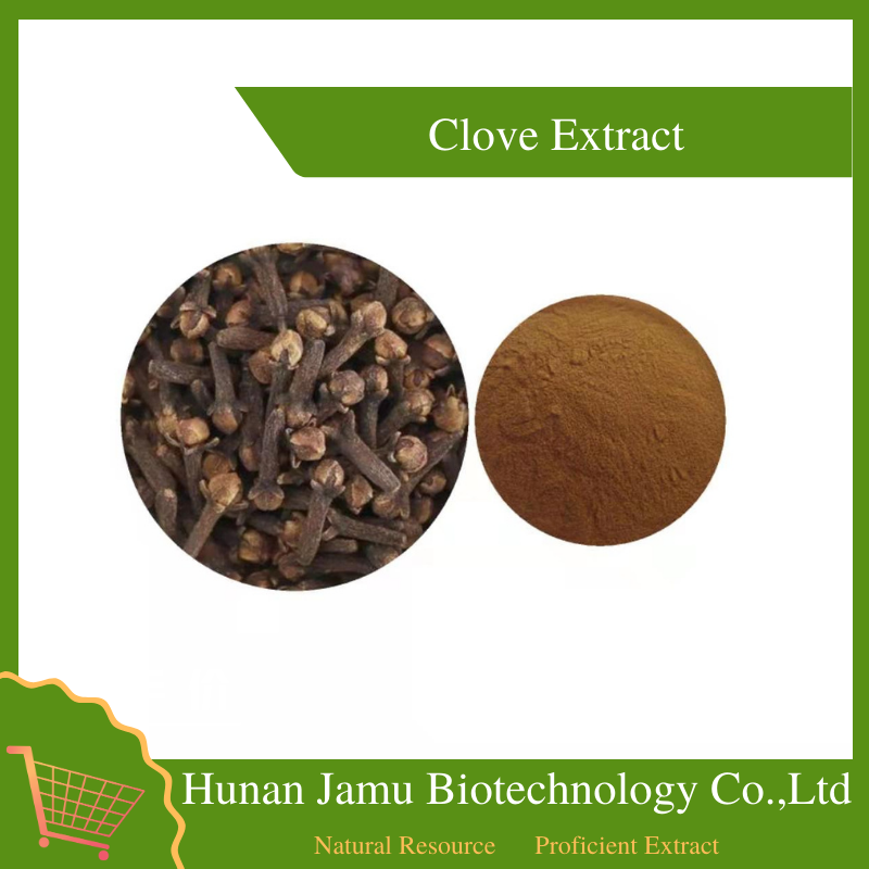 Clove Extract 