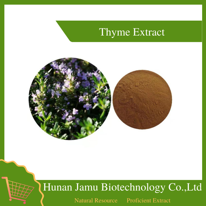  Thyme Extract  