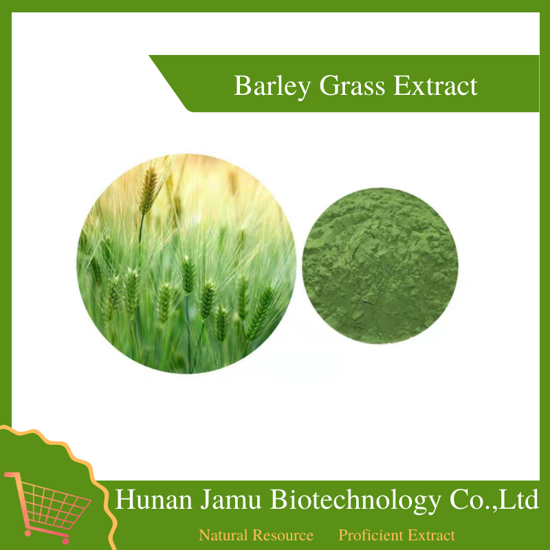 Barley Grass Extract