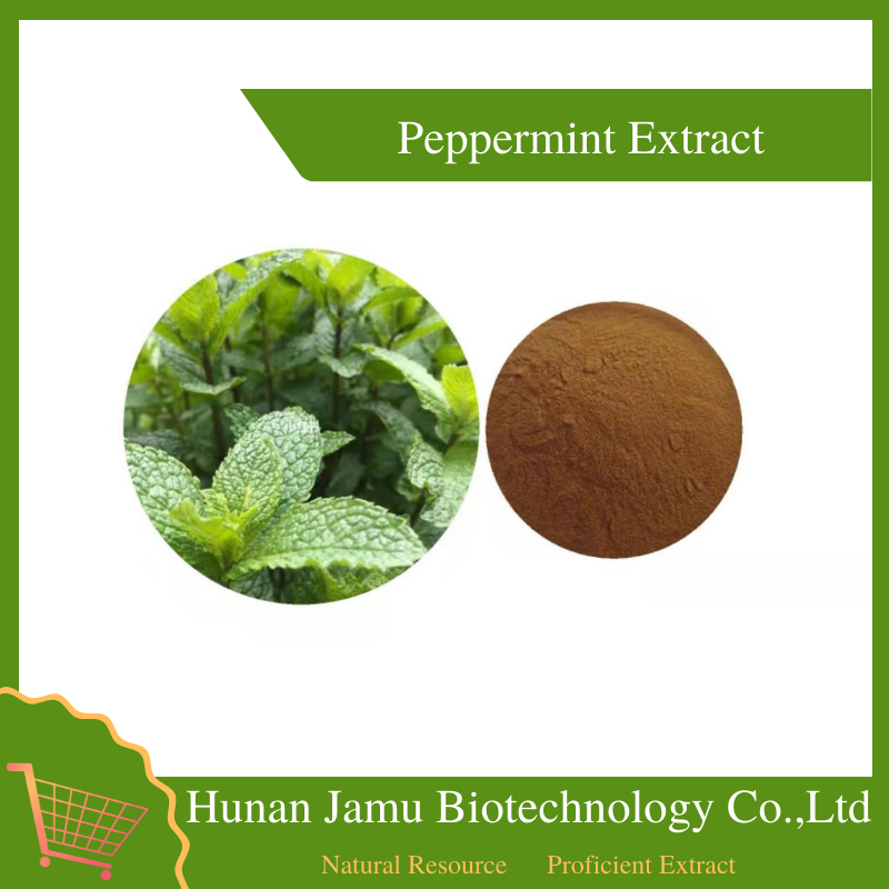 Peppermint Extract 