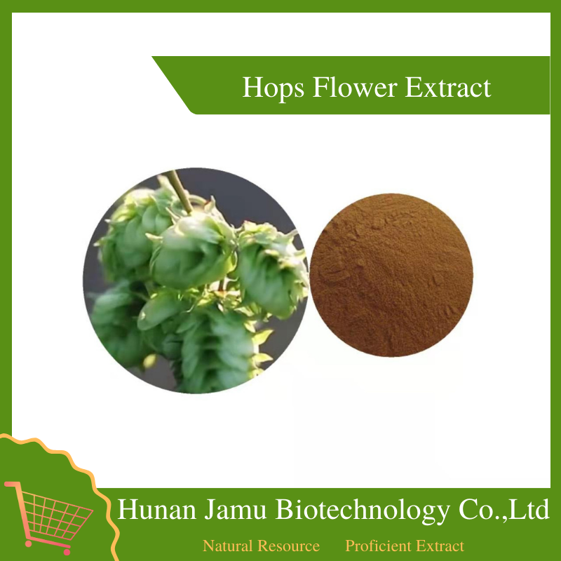 Hops Flower Extract