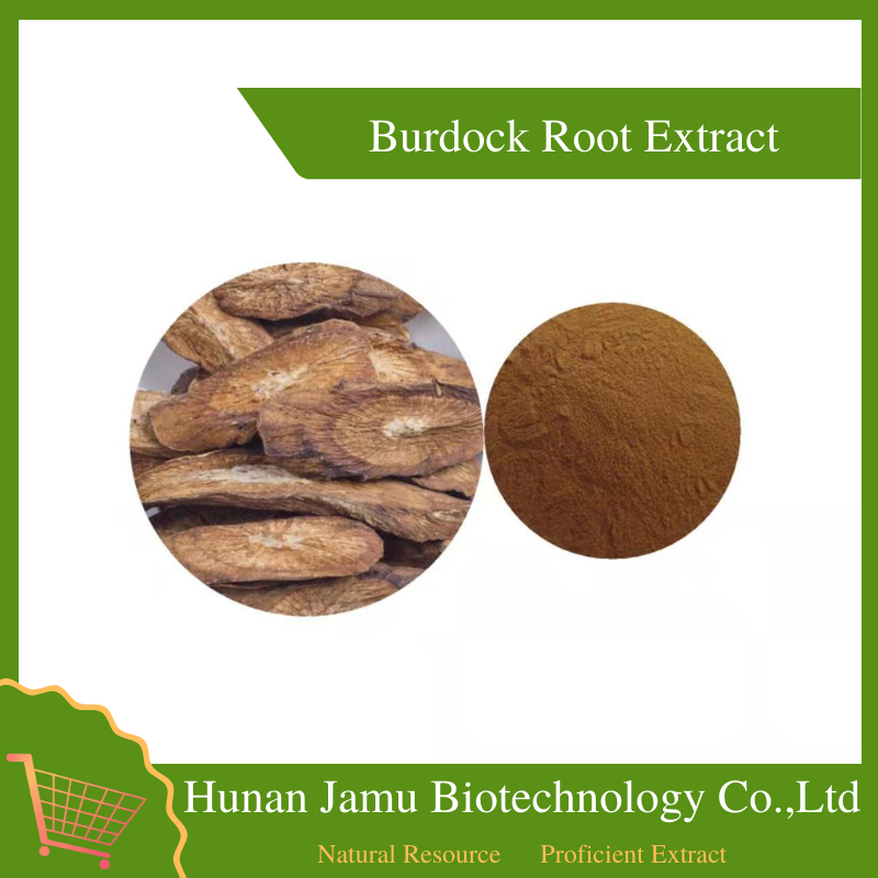  Burdock Root Extract