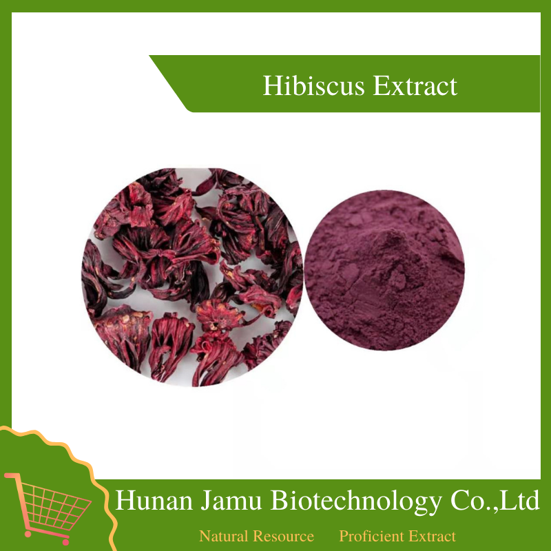 Hibiscus Extract