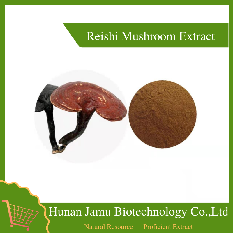  Reishi Mushroom Extract 