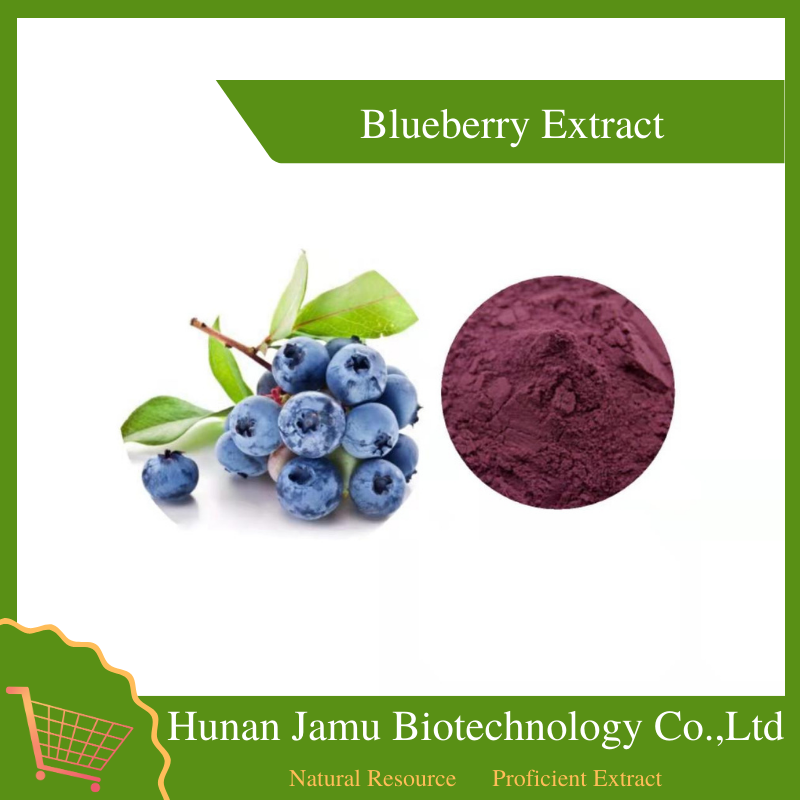  Blueberry Extract   