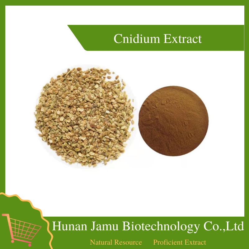 Cnidium Extract   