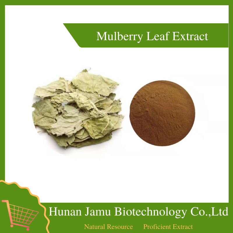 Mulberry Leaf Extract   