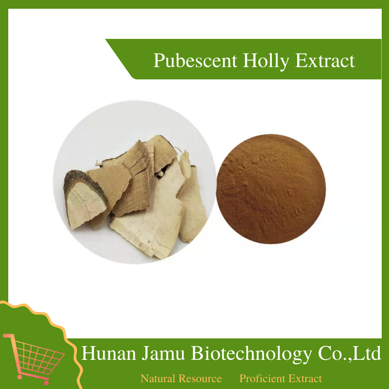  Pubescent Holly Extract   