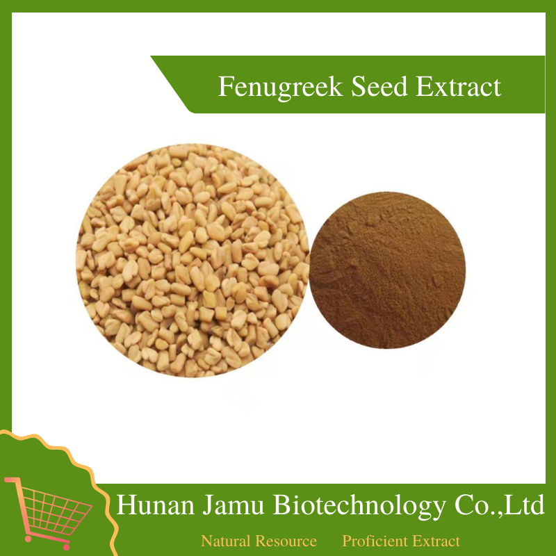  Fenugreek Seed Extract   