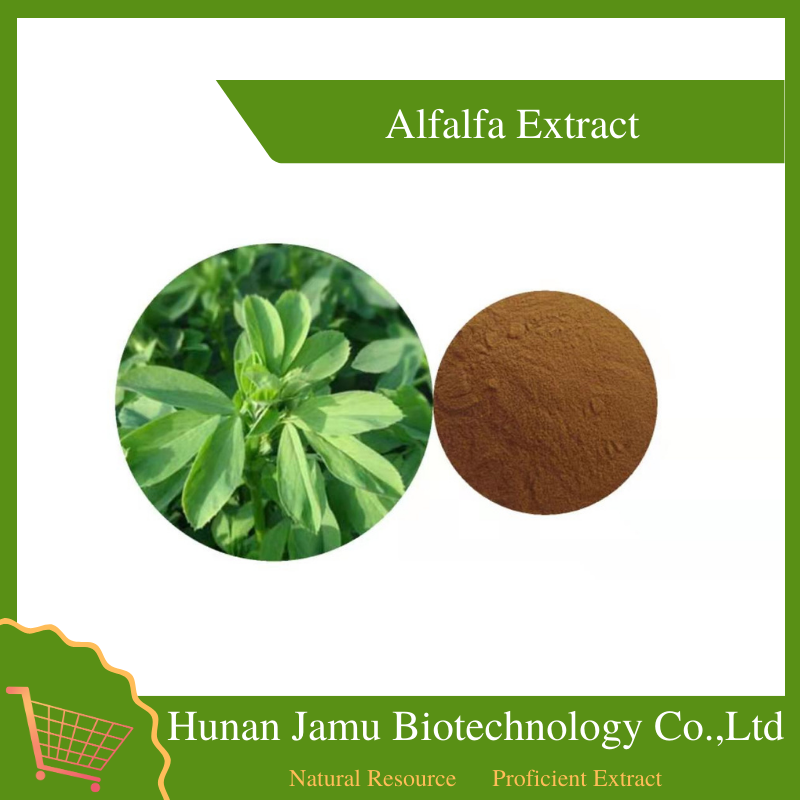 Alfalfa Extract    