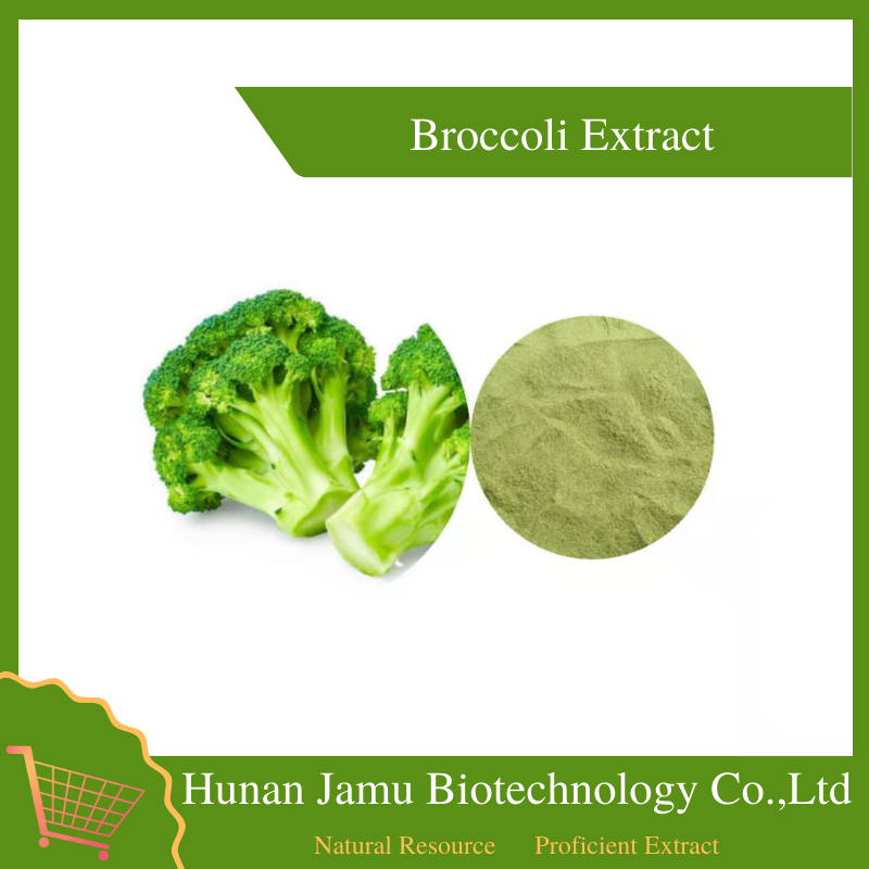  Broccoli Extract    