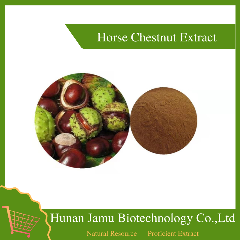 Horse Chestnut Extract  