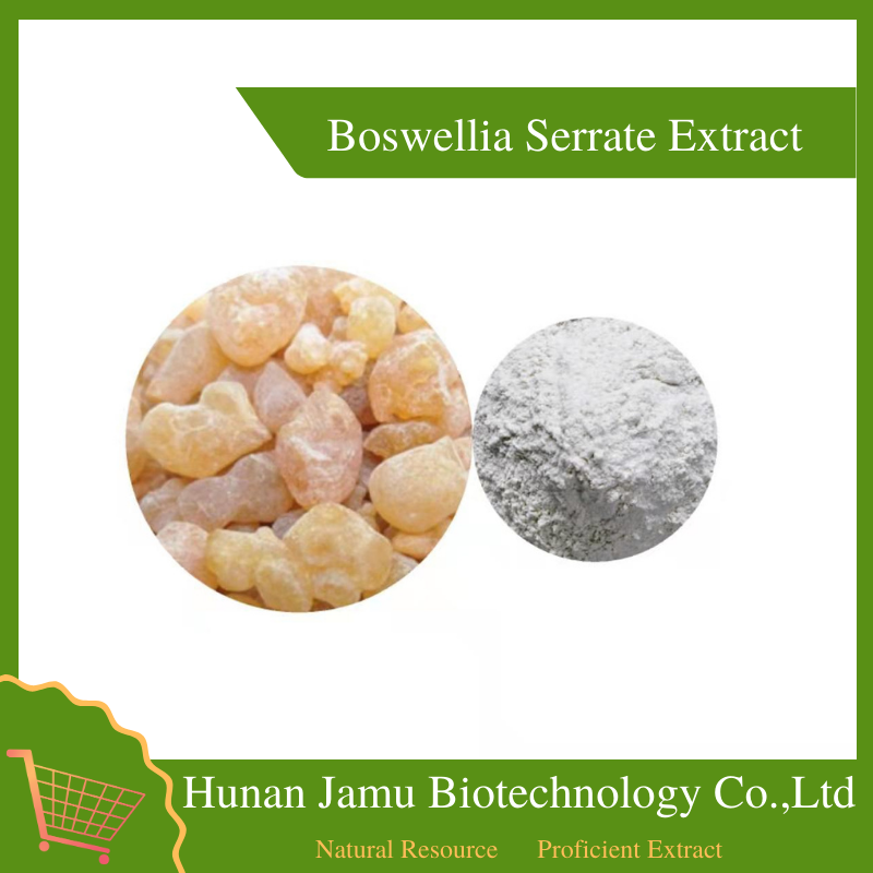 Boswellia Serrate Extract  