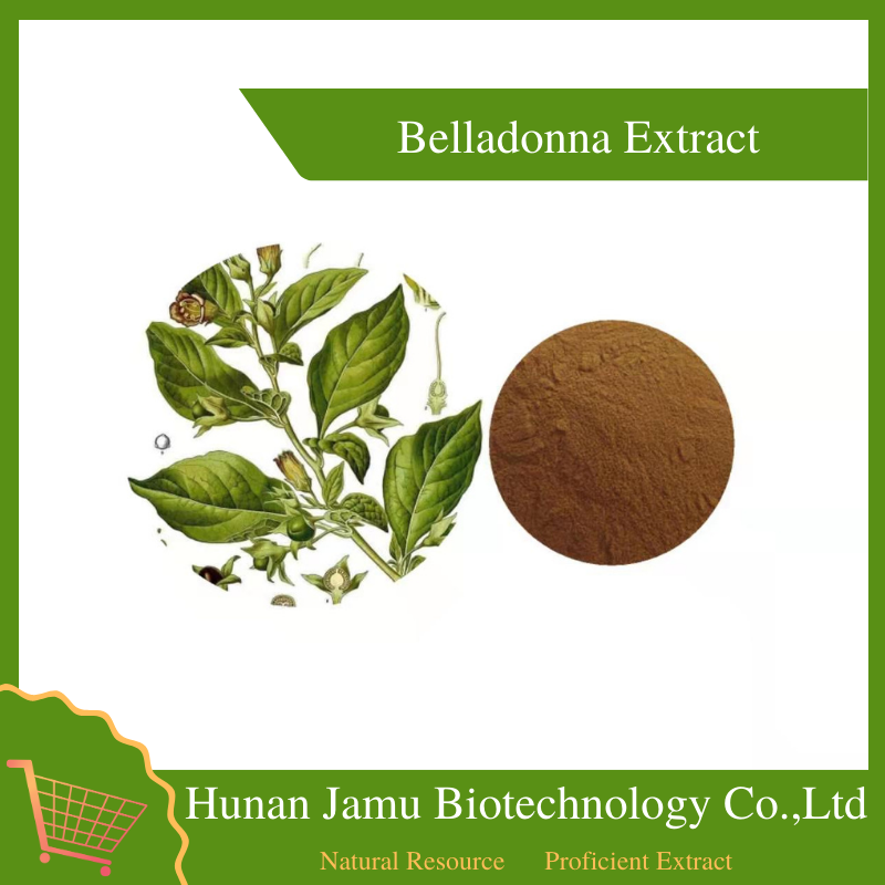 Belladonna Extract 