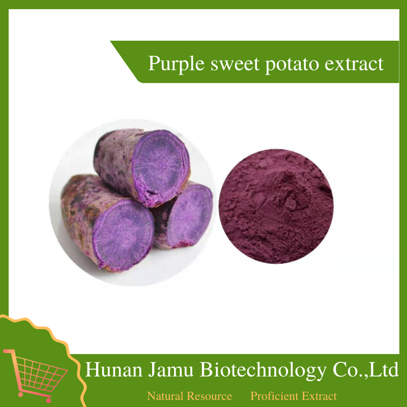  Purple Sweet Potato Extract