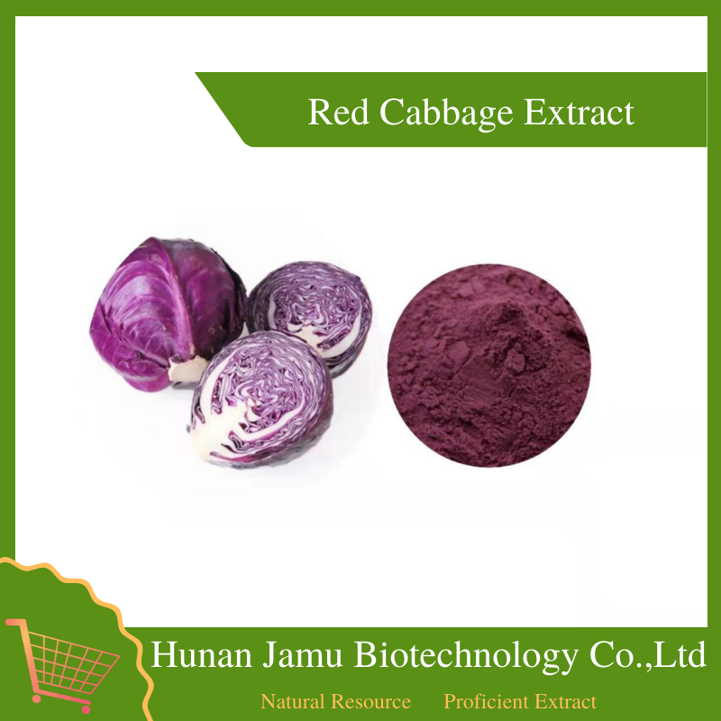 Red Cabbage Extract