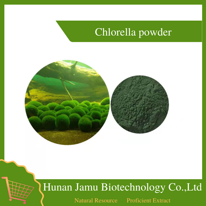 Chlorella Powder