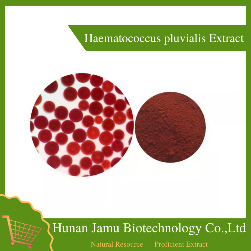 Haematococcus Pluvialis Extract