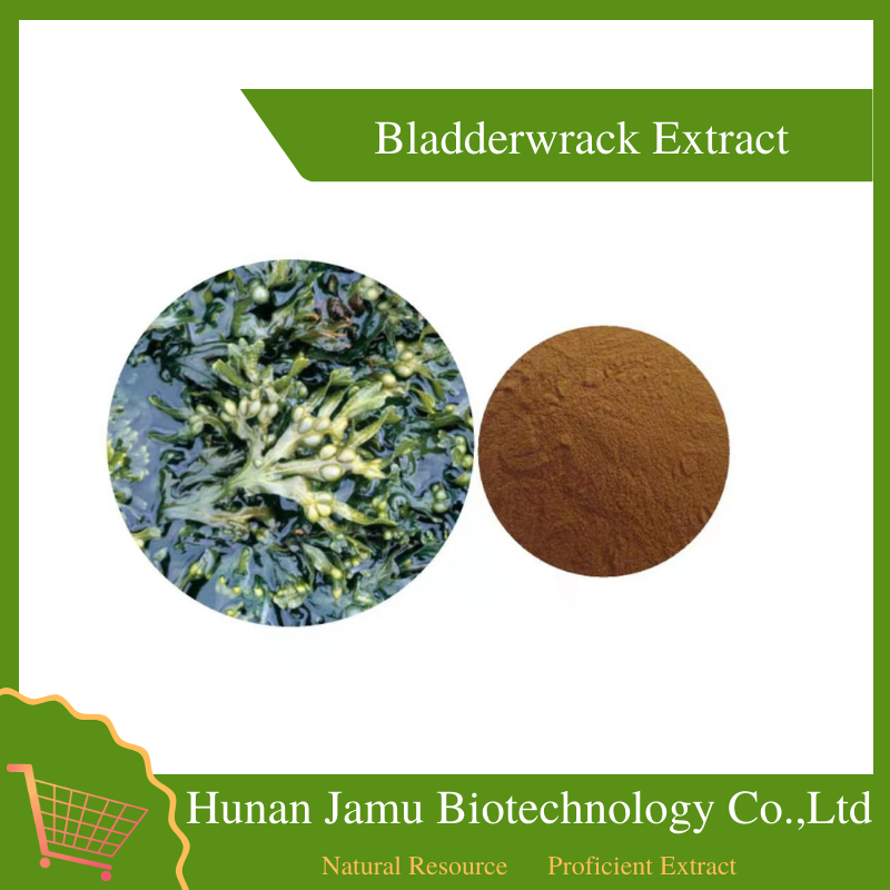 Bladderwrack Extract